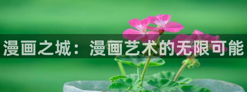 哔咔漫画苹果版：漫画之城：漫画艺术的无限可能