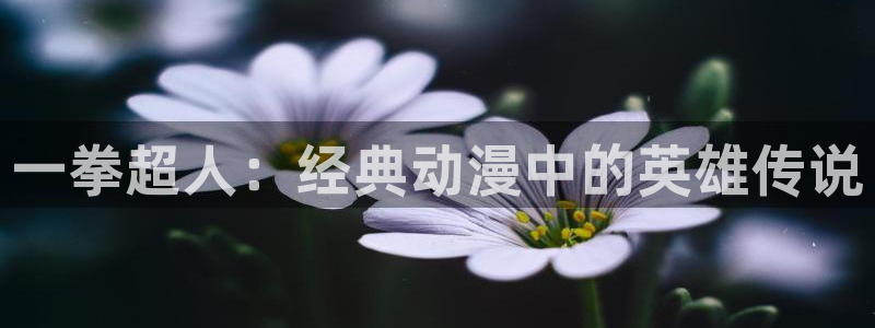 哔咔漫画大全：一拳超人：经典动漫中的英雄传说